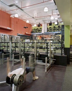 Gold's Gym - Squat Racks